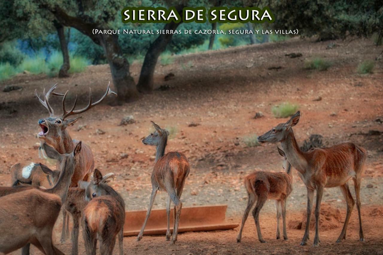 La Puerta de Segura La Vieja Parra旅馆 外观 照片